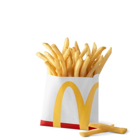 World Famous Fries